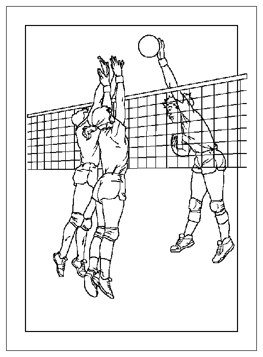 Volleybal Sportvereniging Yde De Punt